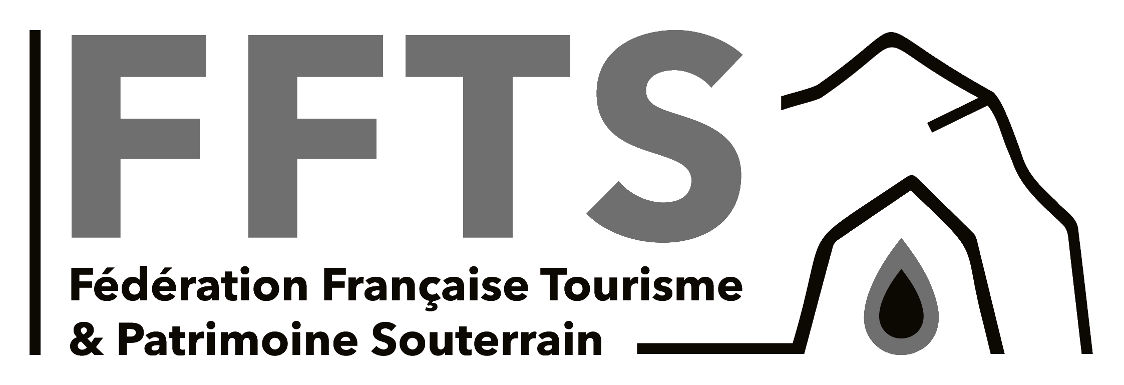logo_ffts